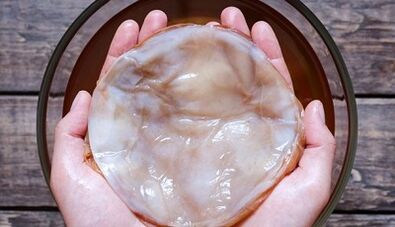 Tea fungus for the treatment of fungus on the legs